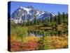 Picture Lake, Mt. Shuksan, Heather Meadows Recreation Area, Washington, Usa-Jamie & Judy Wild-Stretched Canvas