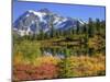 Picture Lake, Mt. Shuksan, Heather Meadows Recreation Area, Washington, Usa-Jamie & Judy Wild-Mounted Photographic Print