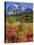 Picture Lake, Mt. Shuksan, Heather Meadows Recreation Area, Washington, Usa-Jamie & Judy Wild-Stretched Canvas