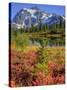 Picture Lake, Mt. Shuksan, Heather Meadows Recreation Area, Washington, Usa-Jamie & Judy Wild-Stretched Canvas
