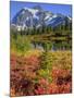 Picture Lake, Mt. Shuksan, Heather Meadows Recreation Area, Washington, Usa-Jamie & Judy Wild-Mounted Photographic Print