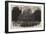 Picture-Model of Venice, at Vauxhall Gardens-null-Framed Giclee Print