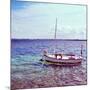 Picture of a Fishing Boat in Estany Des Peix Lagoon, in Formentera, Balearic Islands, Spain-nito-Mounted Premium Photographic Print