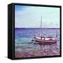 Picture of a Fishing Boat in Estany Des Peix Lagoon, in Formentera, Balearic Islands, Spain-nito-Framed Stretched Canvas