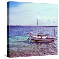 Picture of a Fishing Boat in Estany Des Peix Lagoon, in Formentera, Balearic Islands, Spain-nito-Stretched Canvas