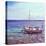 Picture of a Fishing Boat in Estany Des Peix Lagoon, in Formentera, Balearic Islands, Spain-nito-Stretched Canvas