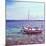 Picture of a Fishing Boat in Estany Des Peix Lagoon, in Formentera, Balearic Islands, Spain-nito-Mounted Photographic Print