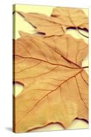 Picture of a Pile of Dried Leaves in Autumn with a Retro Effect-nito-Stretched Canvas