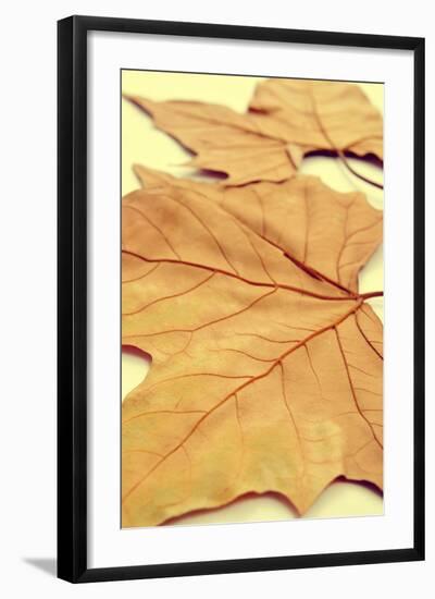 Picture of a Pile of Dried Leaves in Autumn with a Retro Effect-nito-Framed Photographic Print