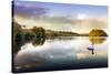 Picture of a Swan on a Lake in the Scottish Highlands-null-Stretched Canvas