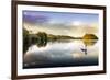 Picture of a Swan on a Lake in the Scottish Highlands-null-Framed Photographic Print