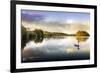 Picture of a Swan on a Lake in the Scottish Highlands-null-Framed Photographic Print