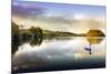 Picture of a Swan on a Lake in the Scottish Highlands-null-Mounted Photographic Print