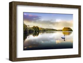 Picture of a Swan on a Lake in the Scottish Highlands-null-Framed Photographic Print