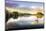 Picture of a Swan on a Lake in the Scottish Highlands-null-Mounted Photographic Print