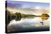 Picture of a Swan on a Lake in the Scottish Highlands-null-Stretched Canvas