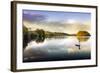 Picture of a Swan on a Lake in the Scottish Highlands-null-Framed Photographic Print