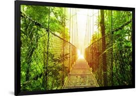 Picture of Arenal Hanging Bridges Ecological Reserve, Natural Rainforest Park-Anna Omelchenko-Framed Art Print