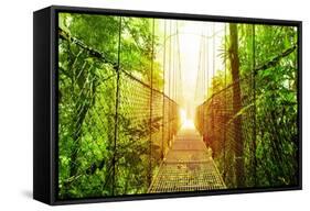 Picture of Arenal Hanging Bridges Ecological Reserve, Natural Rainforest Park-Anna Omelchenko-Framed Stretched Canvas