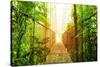 Picture of Arenal Hanging Bridges Ecological Reserve, Natural Rainforest Park-Anna Omelchenko-Stretched Canvas