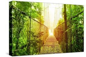 Picture of Arenal Hanging Bridges Ecological Reserve, Natural Rainforest Park-Anna Omelchenko-Stretched Canvas