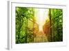 Picture of Arenal Hanging Bridges Ecological Reserve, Natural Rainforest Park-Anna Omelchenko-Framed Premium Giclee Print