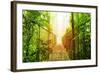 Picture of Arenal Hanging Bridges Ecological Reserve, Natural Rainforest Park-Anna Omelchenko-Framed Premium Giclee Print