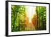 Picture of Arenal Hanging Bridges Ecological Reserve, Natural Rainforest Park-Anna Omelchenko-Framed Premium Giclee Print