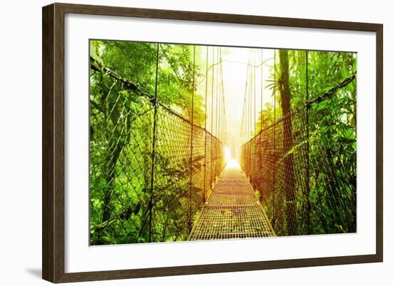 Picture of Arenal Hanging Bridges Ecological Reserve, Natural Rainforest Park-Anna Omelchenko-Framed Art Print