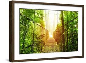 Picture of Arenal Hanging Bridges Ecological Reserve, Natural Rainforest Park-Anna Omelchenko-Framed Art Print