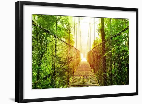 Picture of Arenal Hanging Bridges Ecological Reserve, Natural Rainforest Park-Anna Omelchenko-Framed Art Print