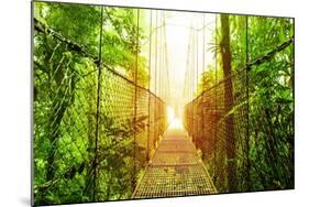 Picture of Arenal Hanging Bridges Ecological Reserve, Natural Rainforest Park-Anna Omelchenko-Mounted Art Print