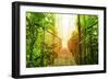 Picture of Arenal Hanging Bridges Ecological Reserve, Natural Rainforest Park-Anna Omelchenko-Framed Premium Giclee Print