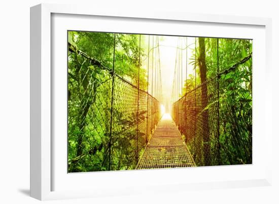 Picture of Arenal Hanging Bridges Ecological Reserve, Natural Rainforest Park-Anna Omelchenko-Framed Premium Giclee Print