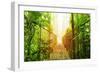 Picture of Arenal Hanging Bridges Ecological Reserve, Natural Rainforest Park-Anna Omelchenko-Framed Premium Giclee Print