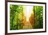 Picture of Arenal Hanging Bridges Ecological Reserve, Natural Rainforest Park-Anna Omelchenko-Framed Art Print