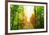 Picture of Arenal Hanging Bridges Ecological Reserve, Natural Rainforest Park-Anna Omelchenko-Framed Art Print