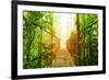 Picture of Arenal Hanging Bridges Ecological Reserve, Natural Rainforest Park-Anna Omelchenko-Framed Art Print