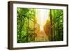 Picture of Arenal Hanging Bridges Ecological Reserve, Natural Rainforest Park-Anna Omelchenko-Framed Art Print