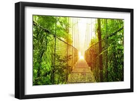 Picture of Arenal Hanging Bridges Ecological Reserve, Natural Rainforest Park-Anna Omelchenko-Framed Art Print