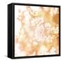 Picture of Beautiful Apple Tree Blossom-Anna Omelchenko-Framed Stretched Canvas