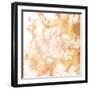 Picture of Beautiful Apple Tree Blossom-Anna Omelchenko-Framed Photographic Print