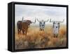 Picture Perfect I-Kathy Winkler-Framed Stretched Canvas