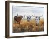 Picture Perfect I-Kathy Winkler-Framed Art Print