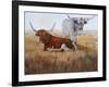 Picture Perfect II-Kathy Winkler-Framed Art Print