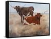 Picture Perfect III-Kathy Winkler-Framed Stretched Canvas