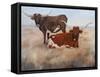 Picture Perfect III-Kathy Winkler-Framed Stretched Canvas