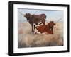 Picture Perfect III-Kathy Winkler-Framed Art Print