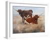 Picture Perfect III-Kathy Winkler-Framed Art Print