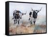 Picture Perfect IV-Kathy Winkler-Framed Stretched Canvas